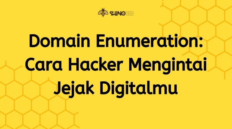 Domain Enumeration