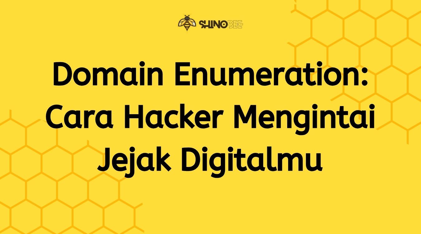 Domain Enumeration