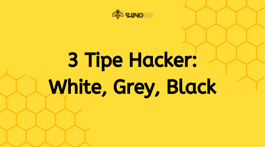 3 Tipe Hacker: White, Grey, Black